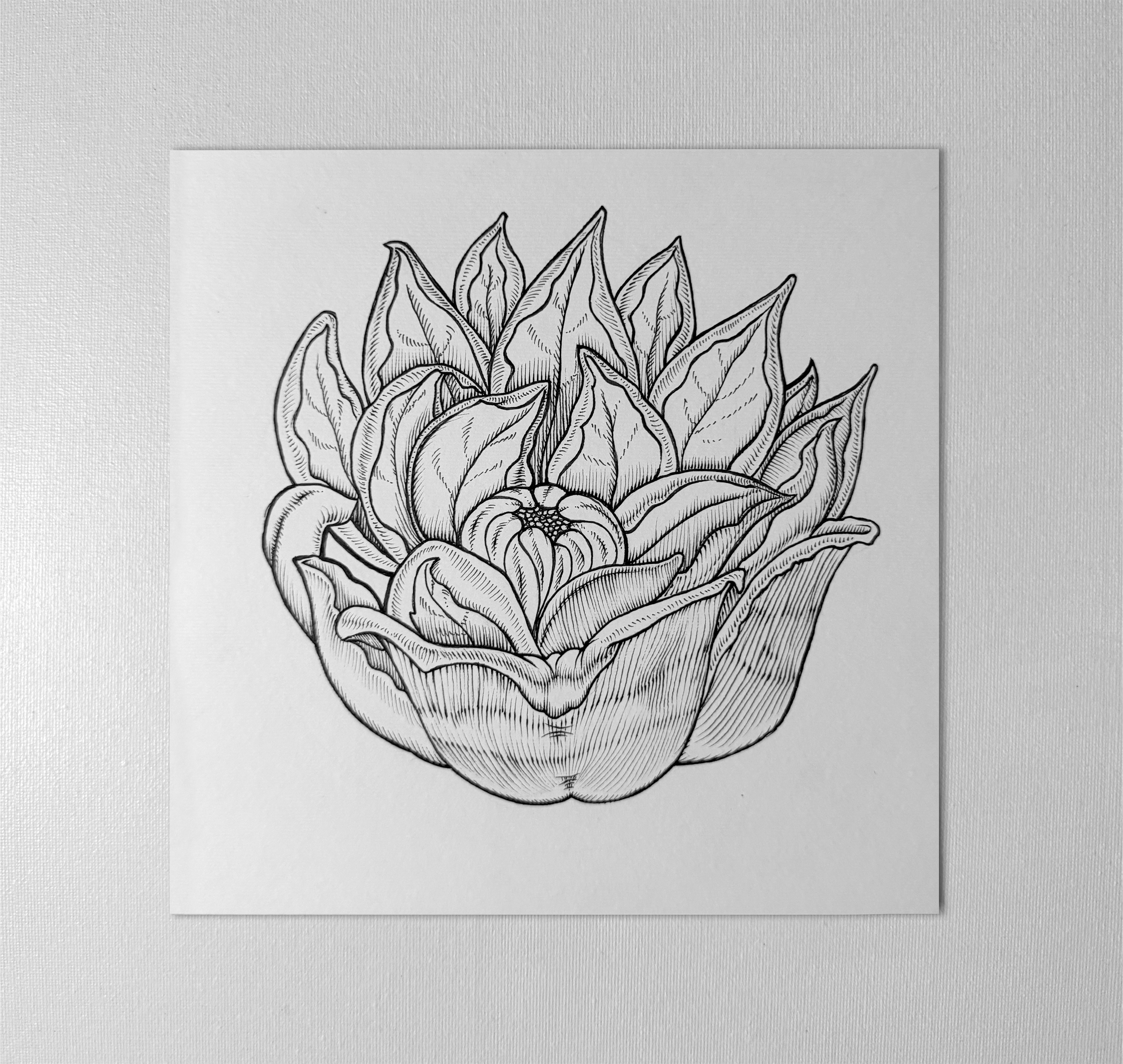 Original "Ferella" Artwork