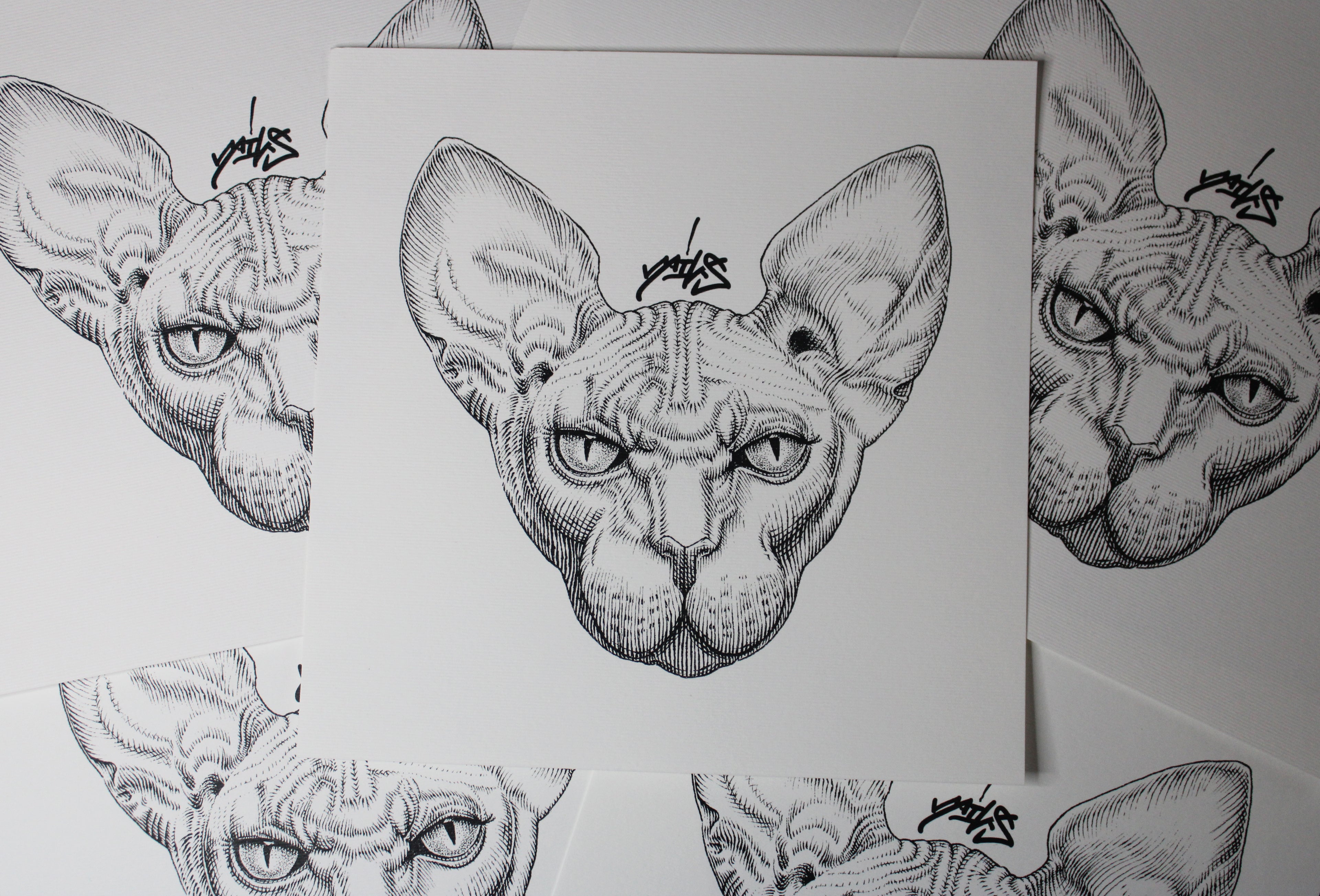 Sphynx Prints