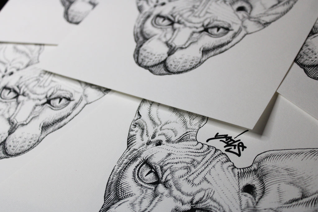 Sphynx Prints