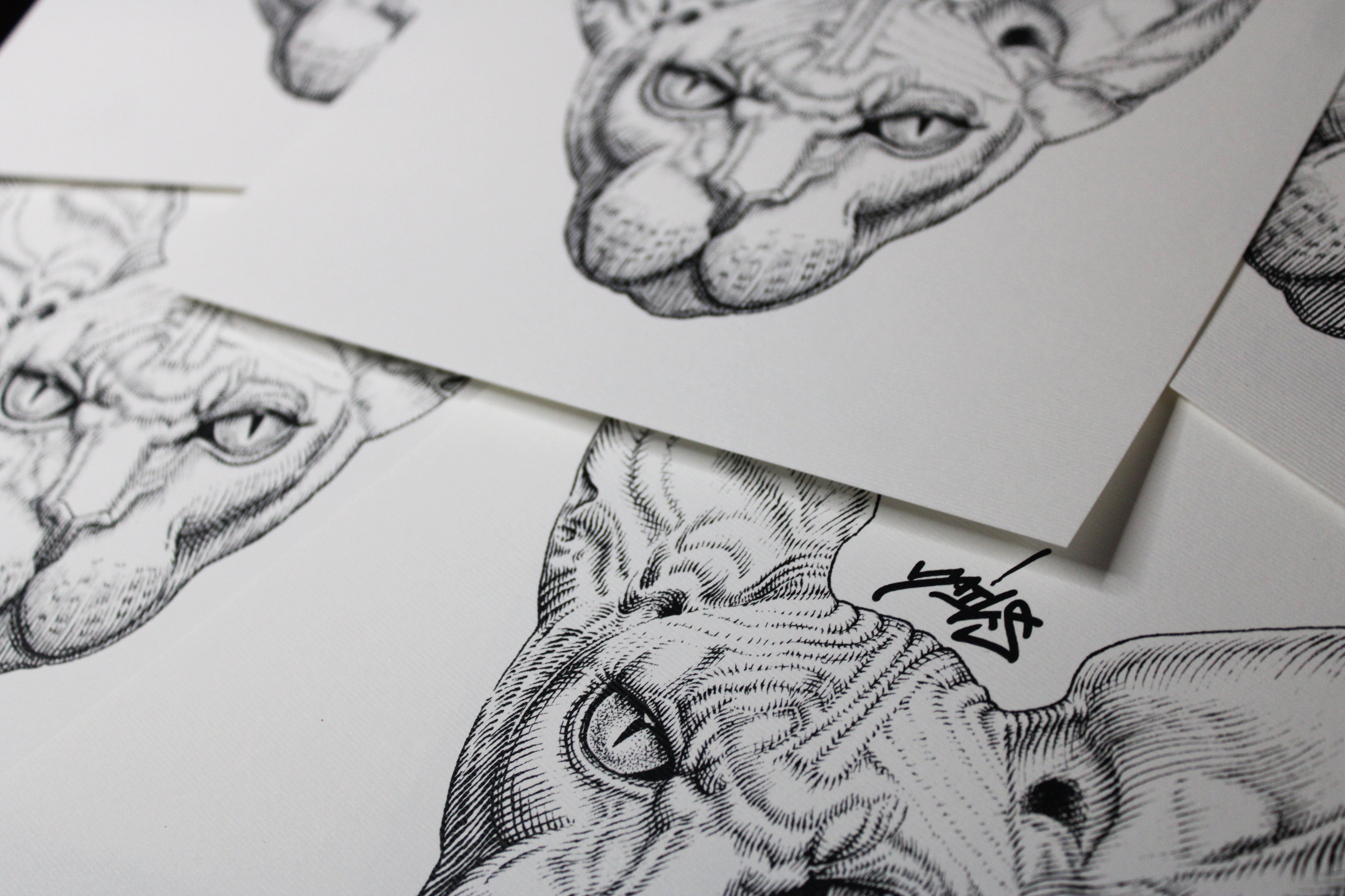 Sphynx Prints
