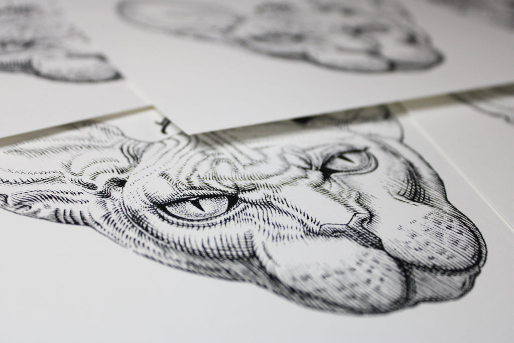 Sphynx Prints