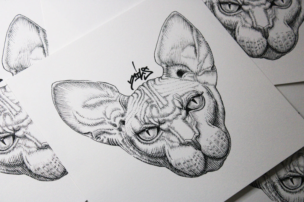 Sphynx Prints