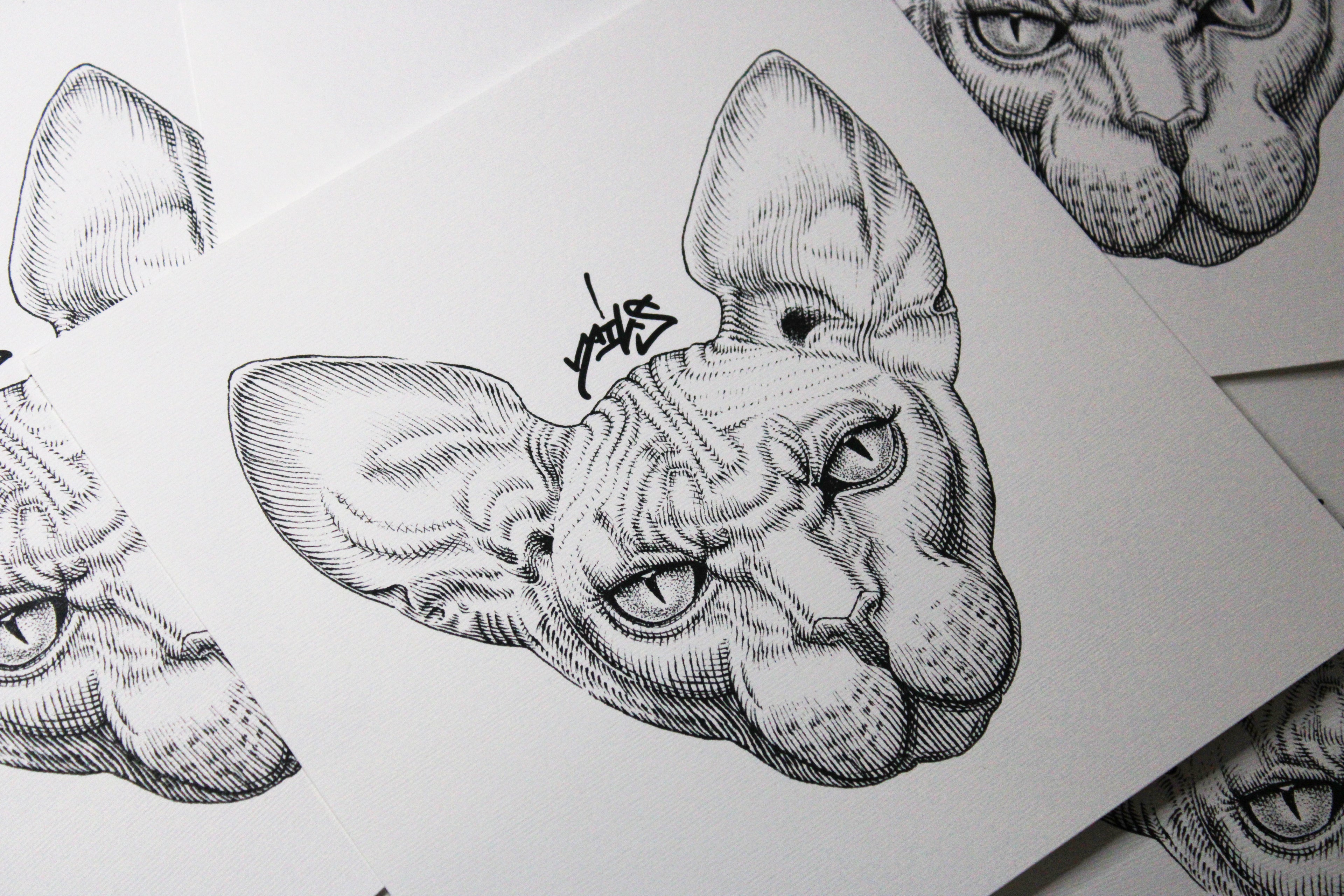Sphynx Prints