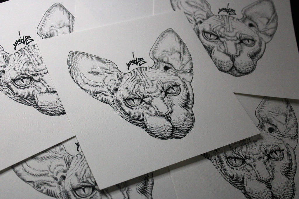 Sphynx Prints