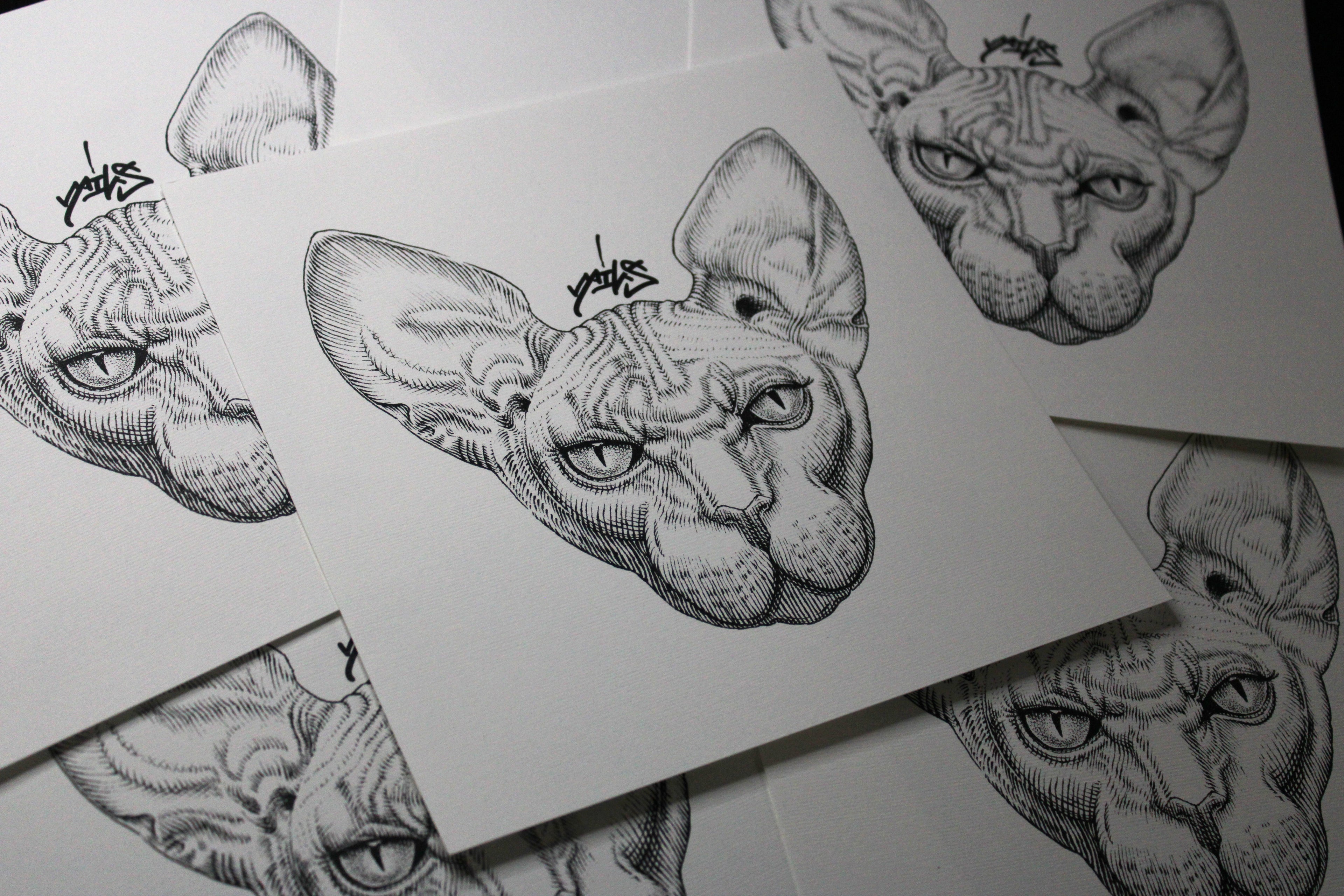 Sphynx Prints