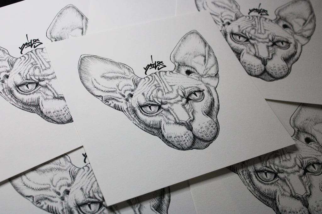 Sphynx Prints