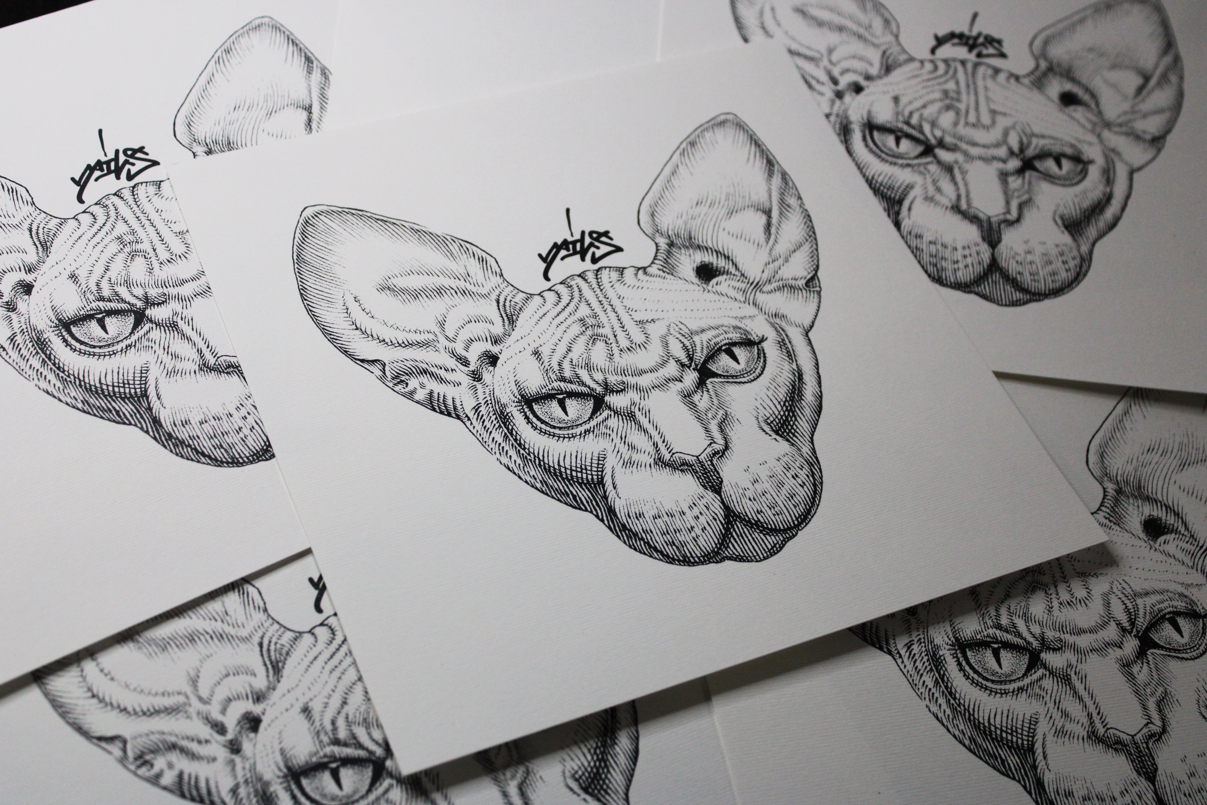 Sphynx Prints