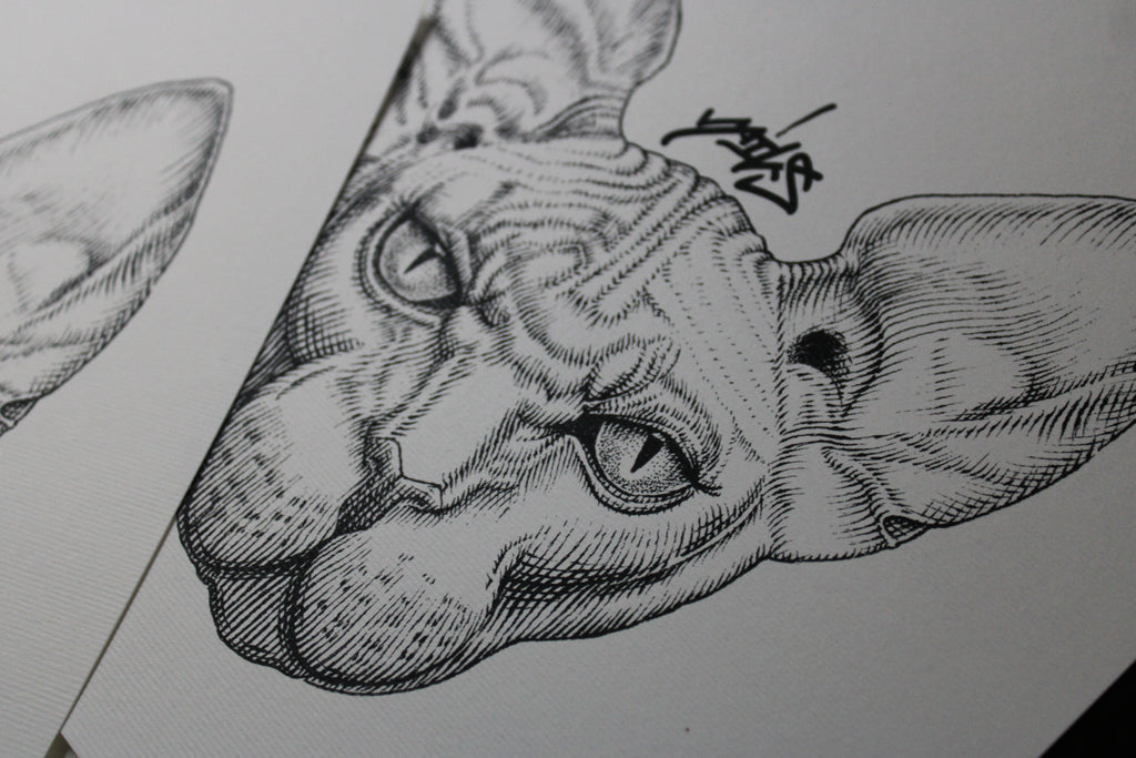 Sphynx Prints