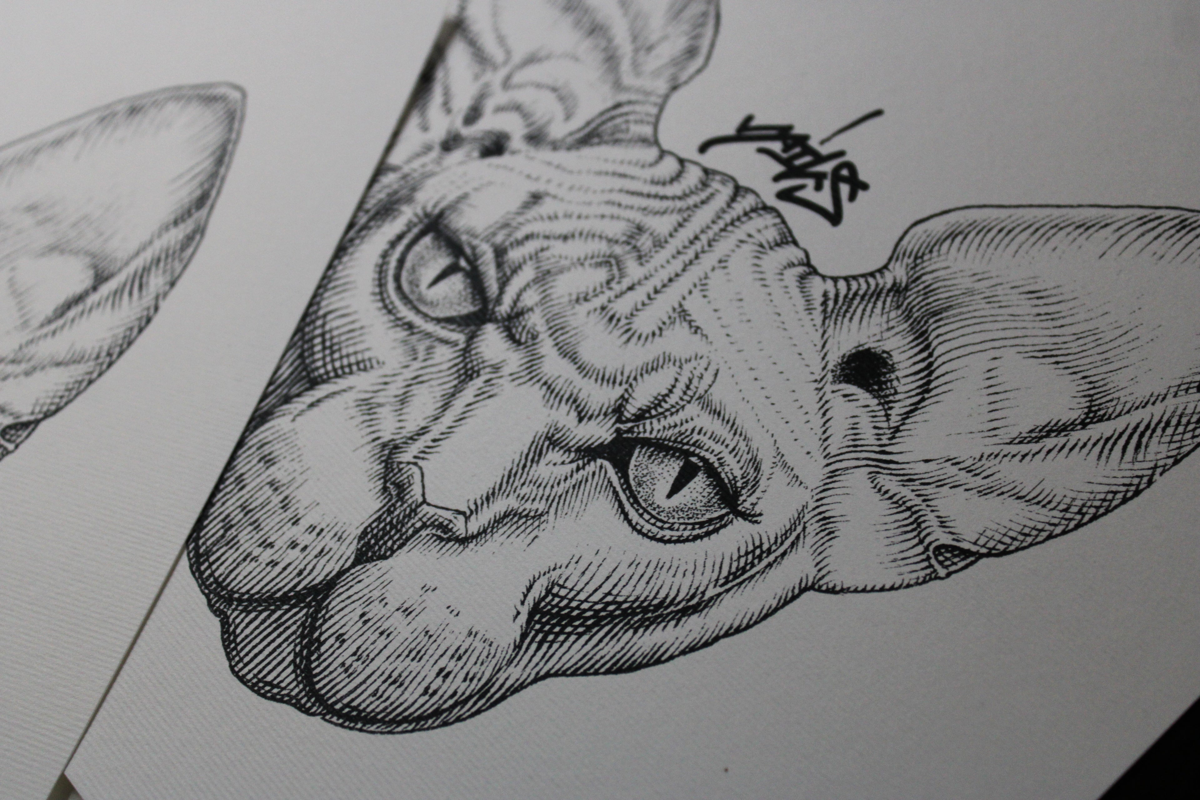 Sphynx Prints