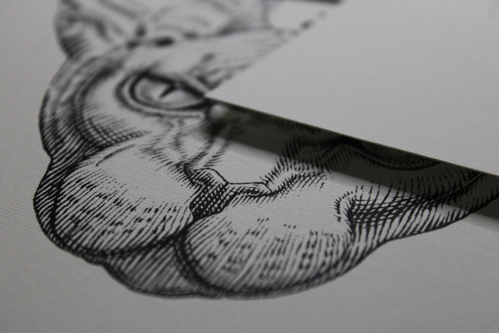 Sphynx Prints
