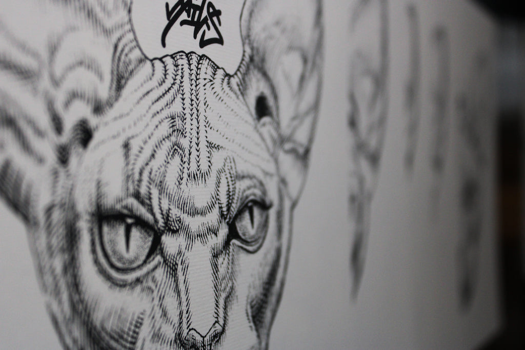 Sphynx Prints