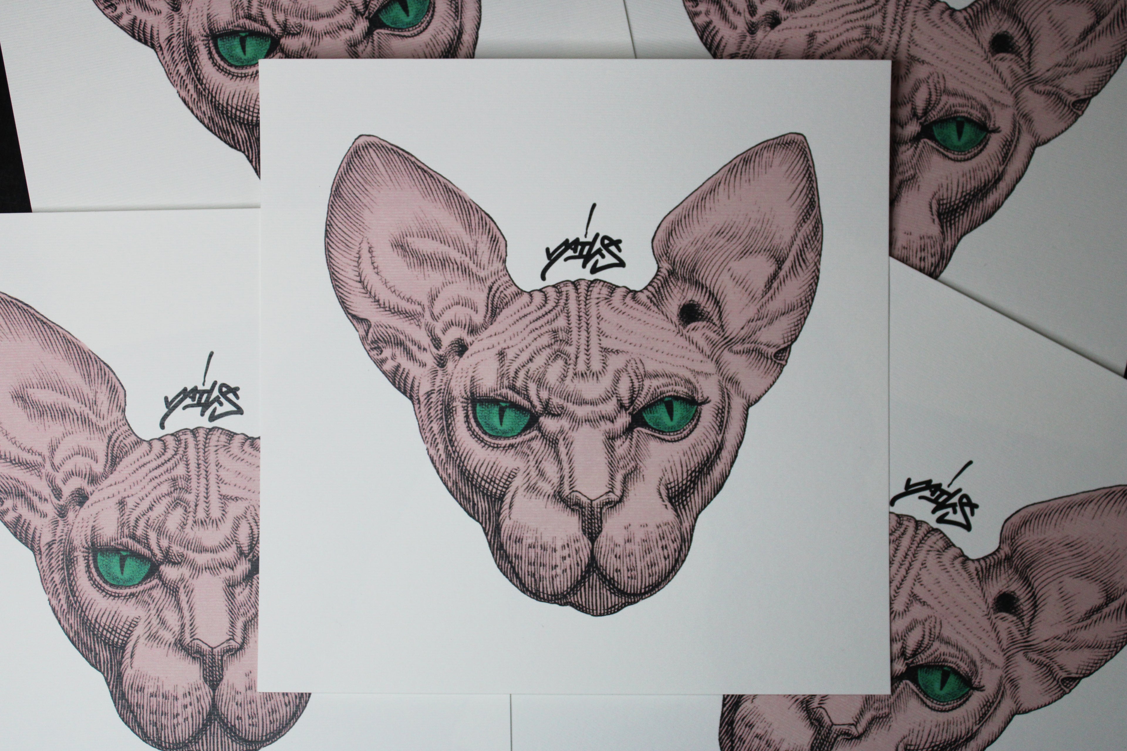 Sphynx Pink Prints