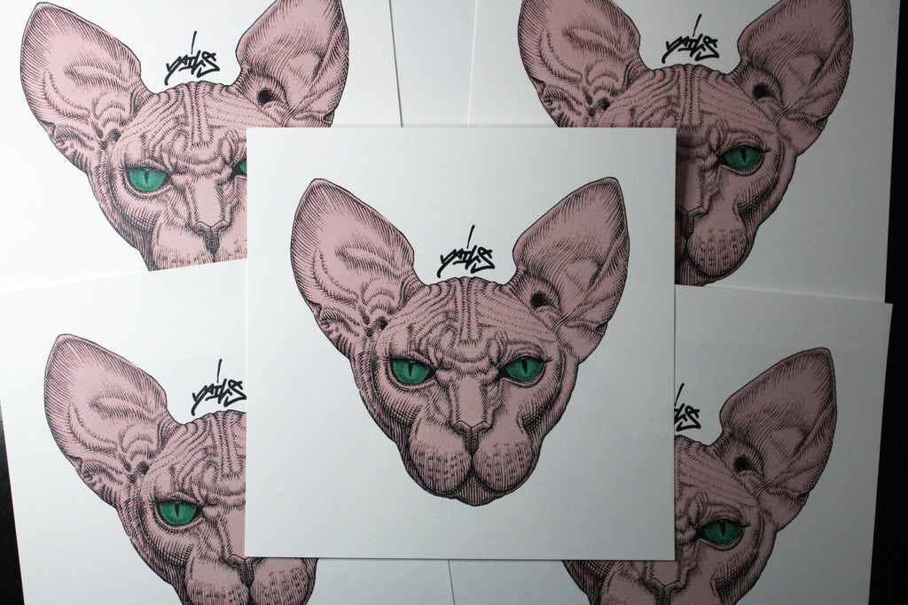 Sphynx Pink Prints