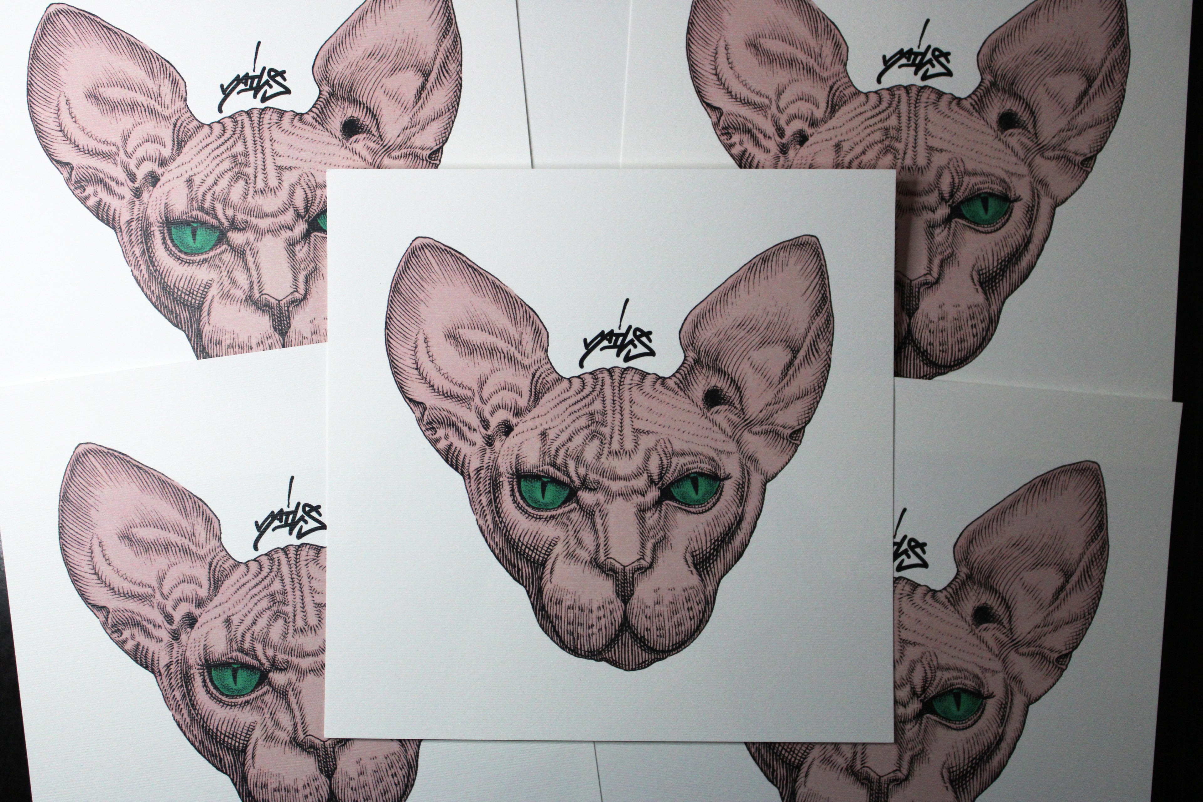 Sphynx Pink Prints