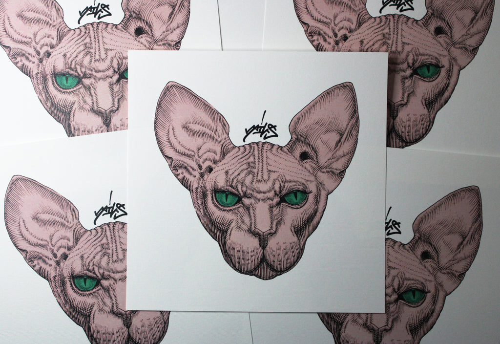 Sphynx Pink Prints