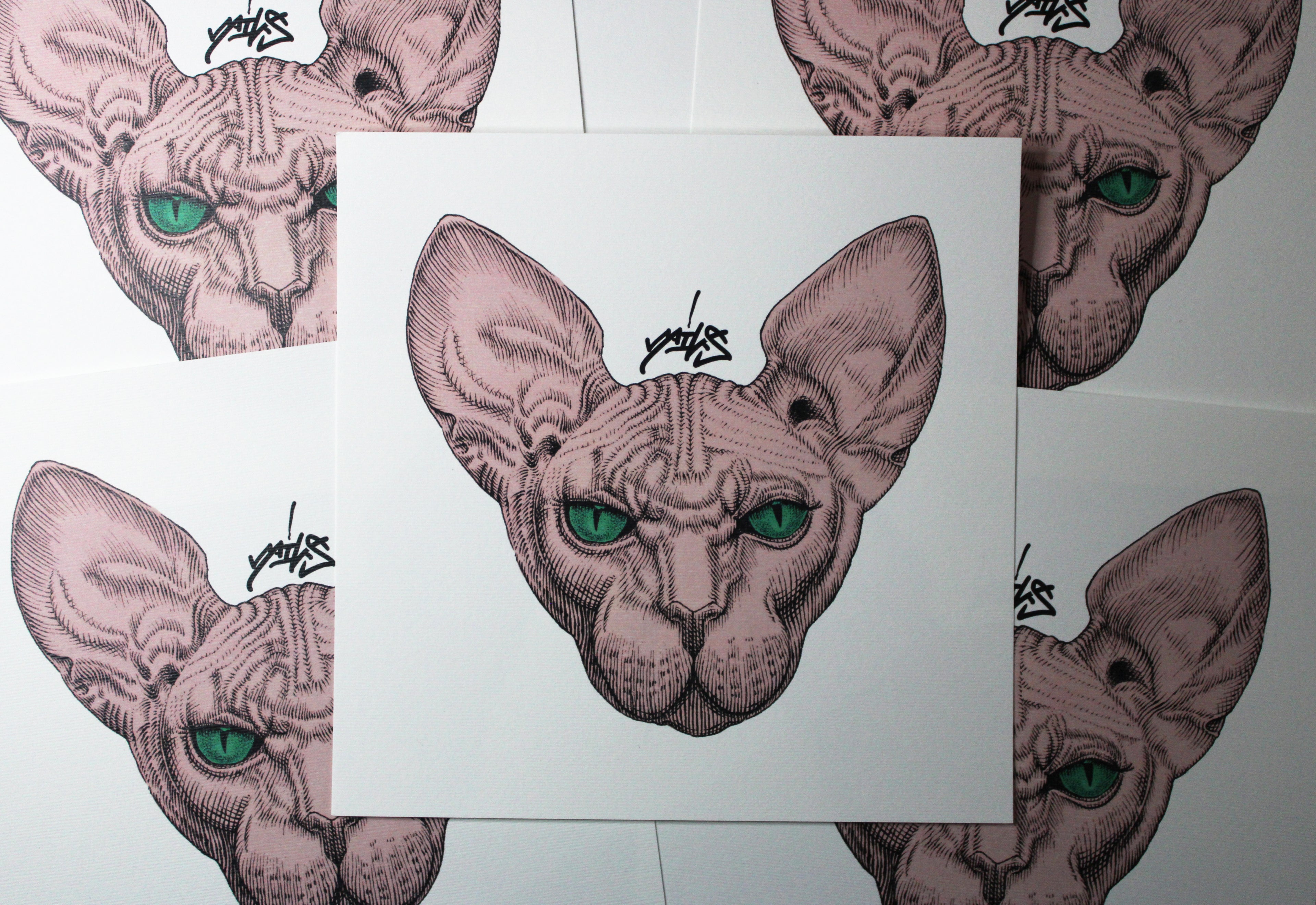 Sphynx Pink Prints