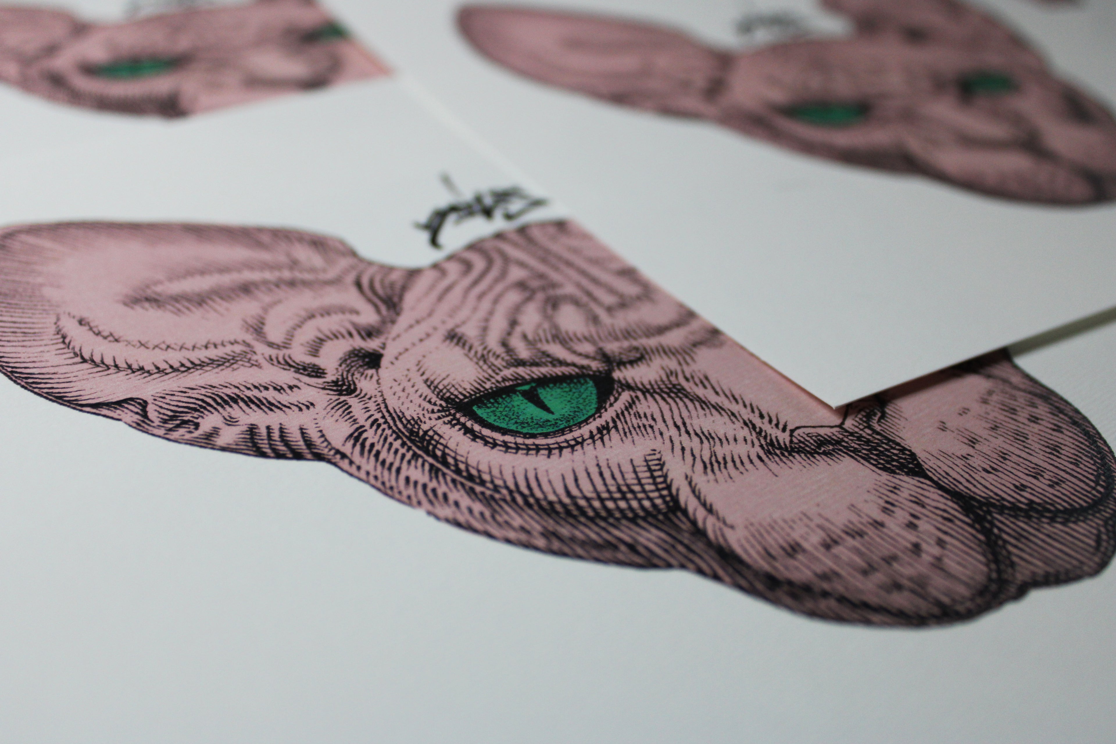 Sphynx Pink Prints