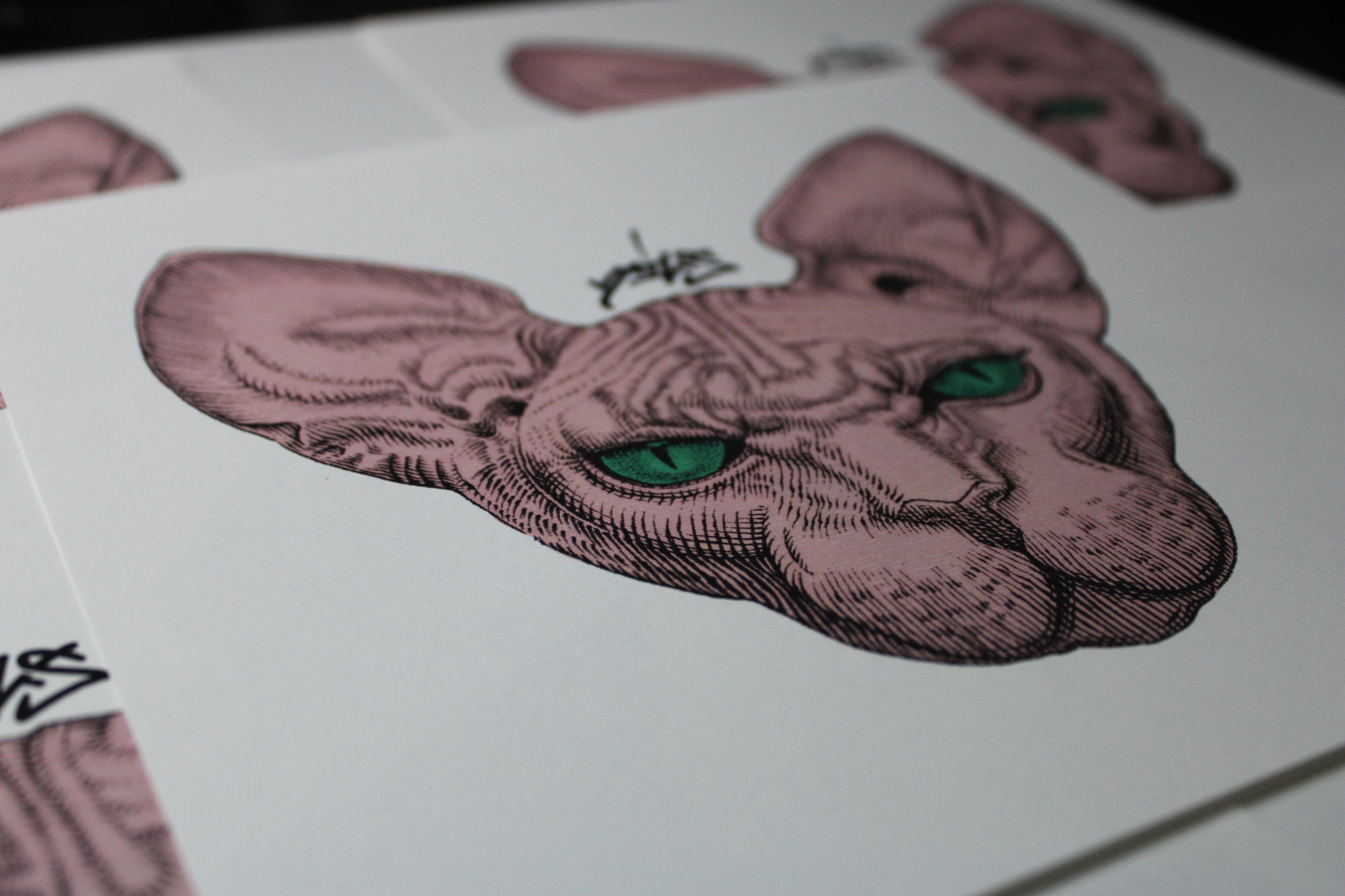 Sphynx Pink Prints