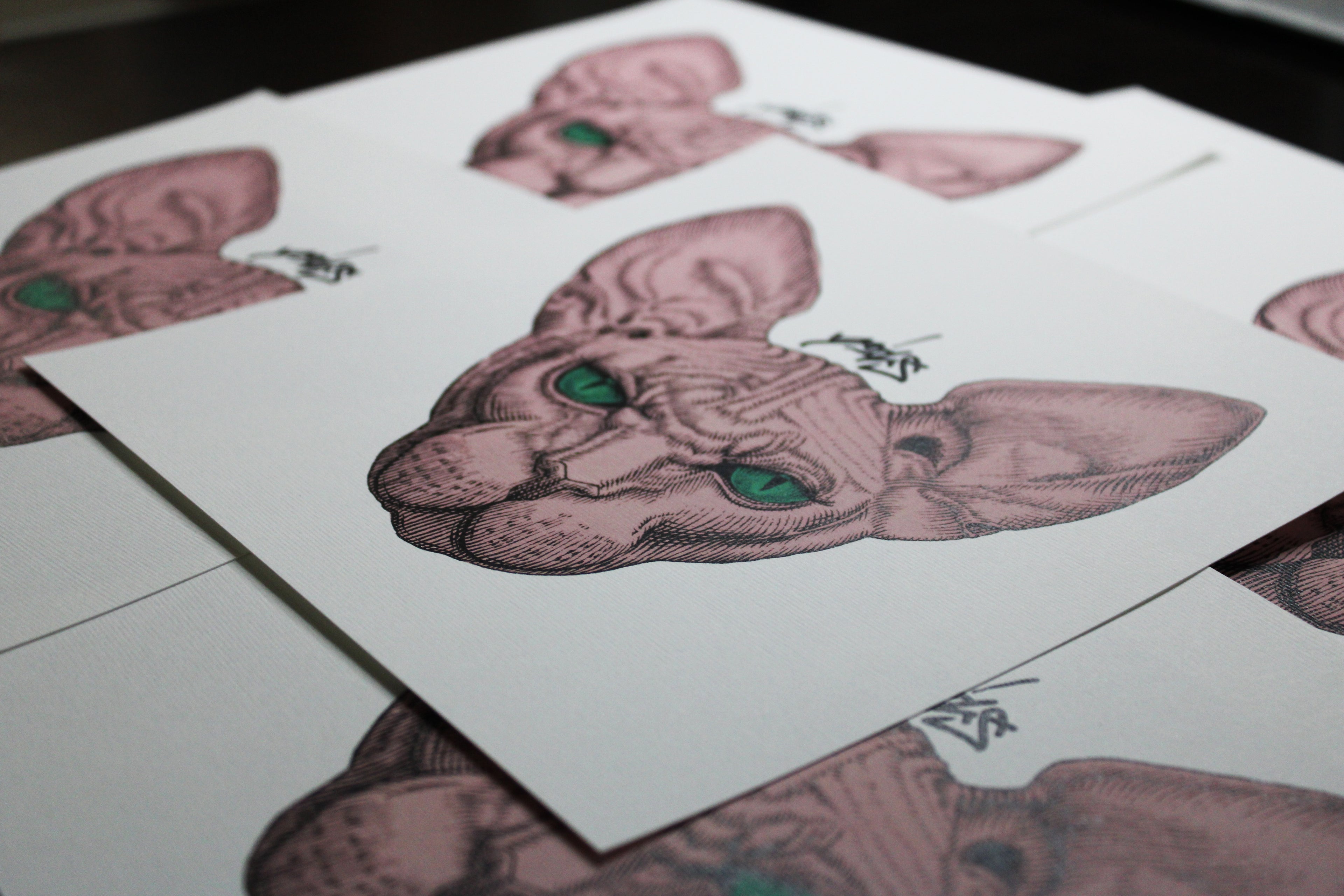 Sphynx Pink Prints
