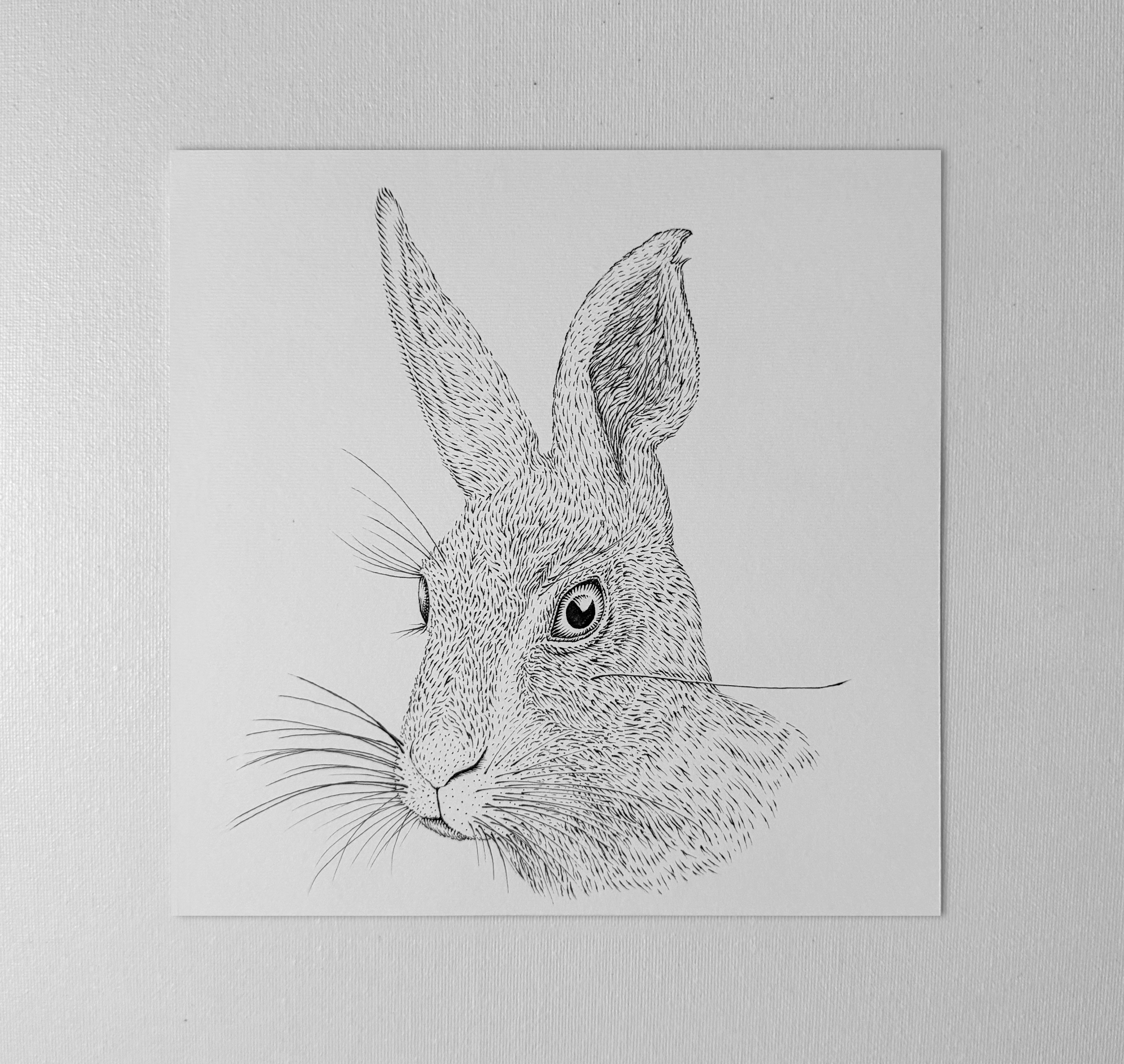 Original "Rabbit" Artwork