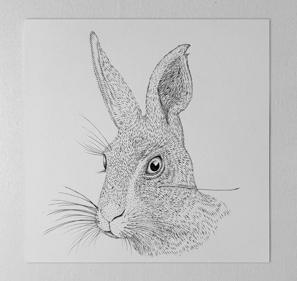 Original "Rabbit" Artwork