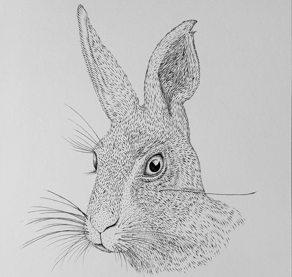 Original "Rabbit" Artwork