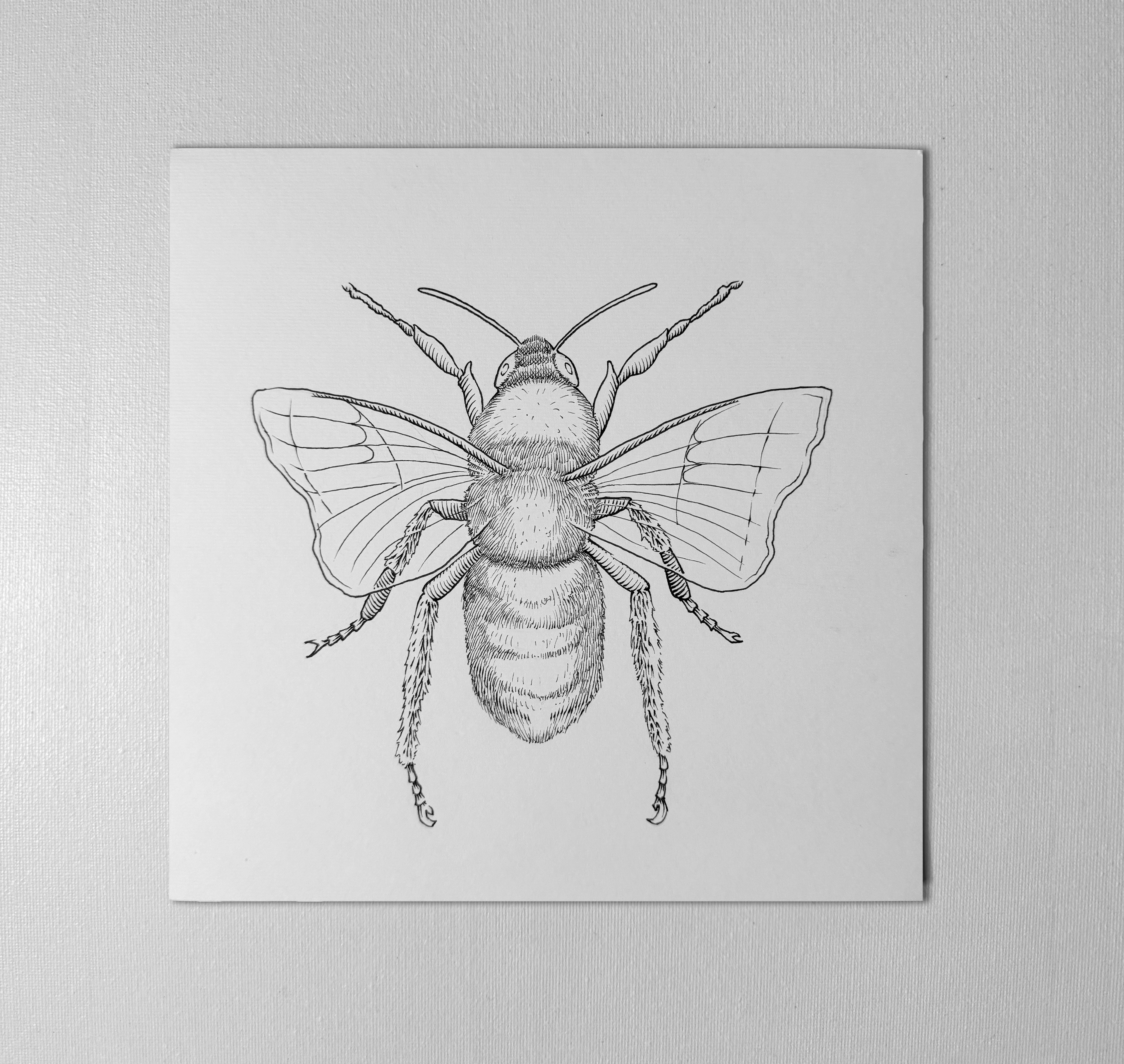Original "Bee" Artwork