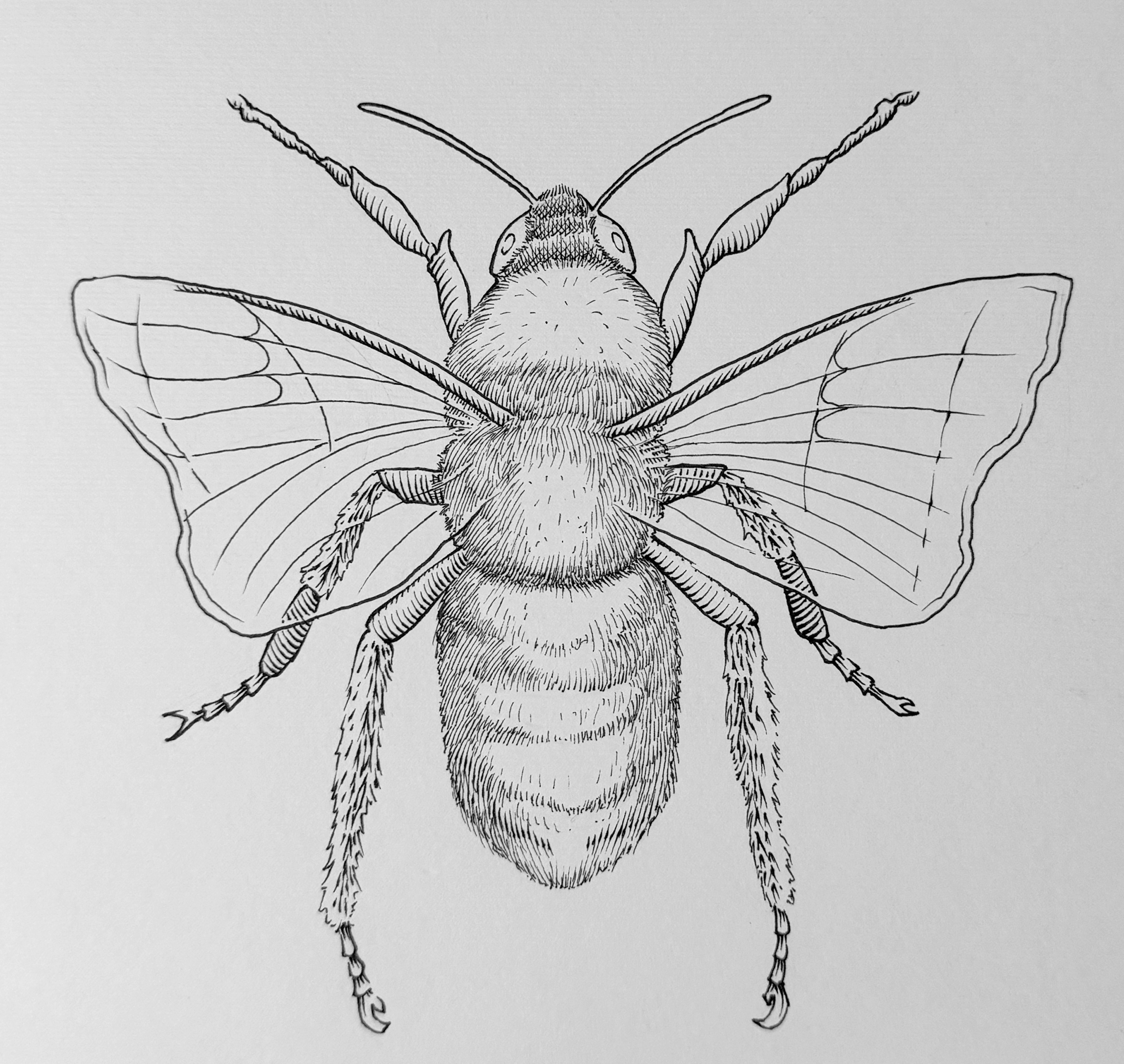 Original "Bee" Artwork
