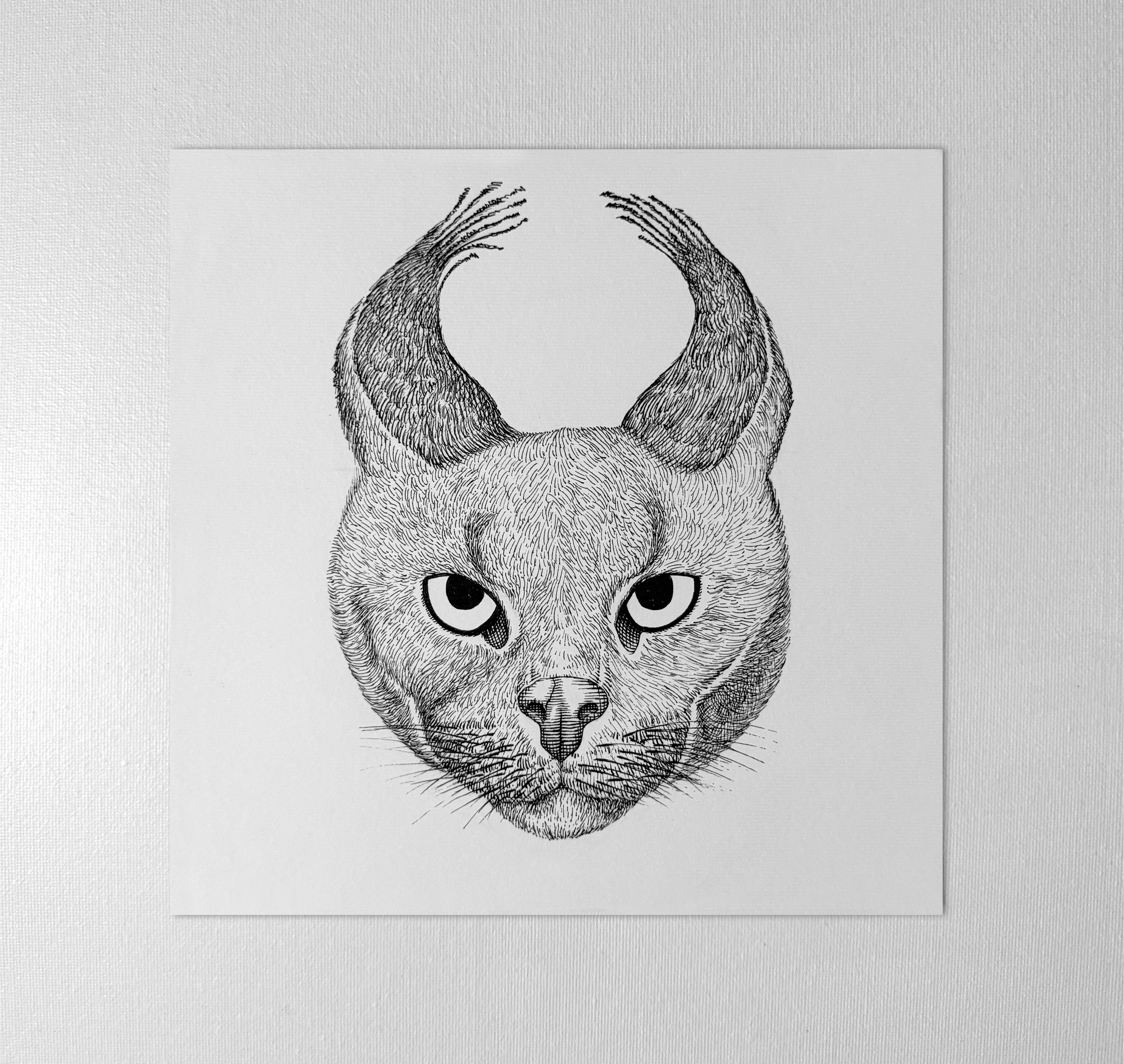 Original "WildCat" Artwork