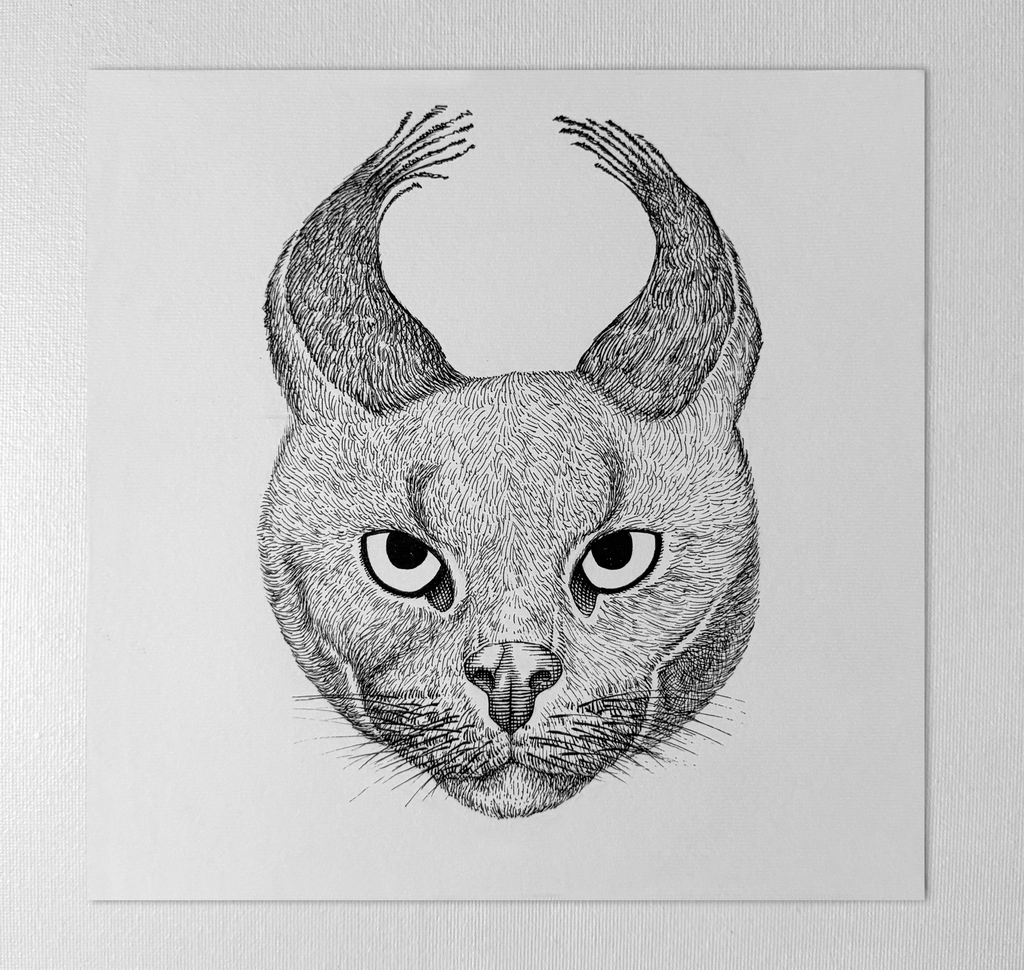 Original "WildCat" Artwork