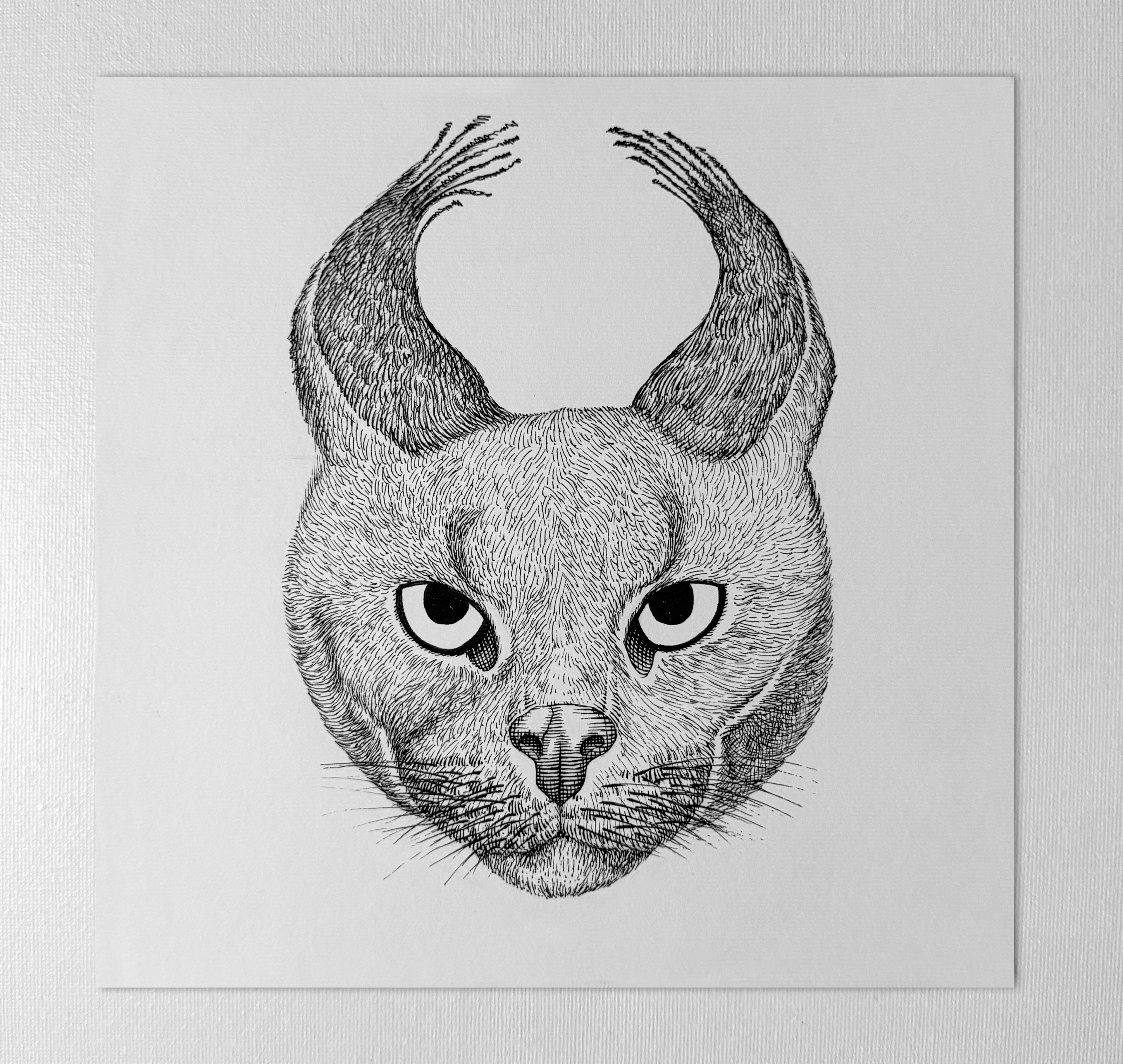 Original "WildCat" Artwork