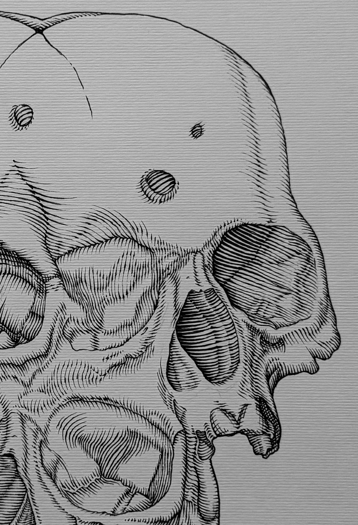Original "Triple-Skull" Artwork