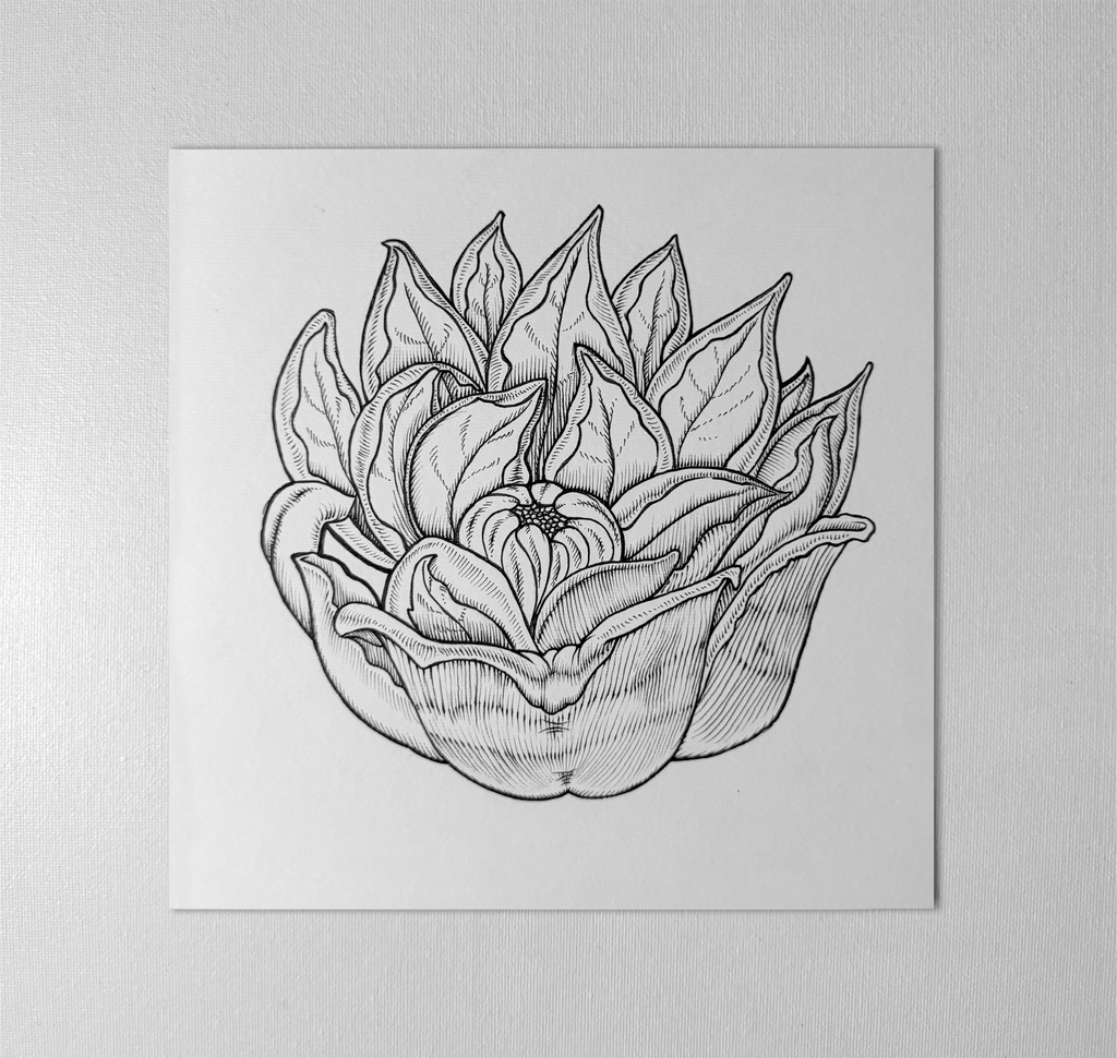 Original "Ferella" Artwork