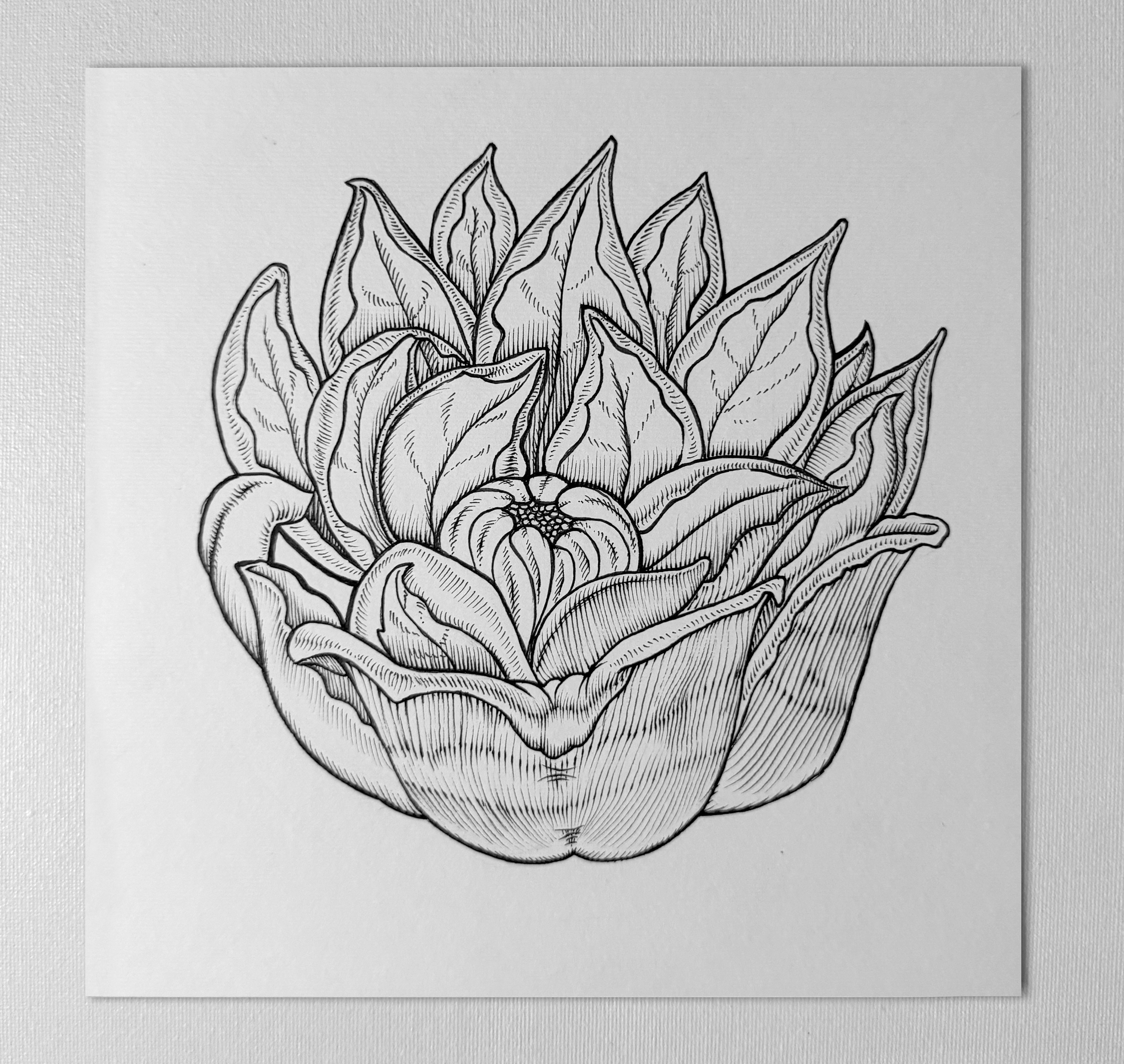 Original "Ferella" Artwork