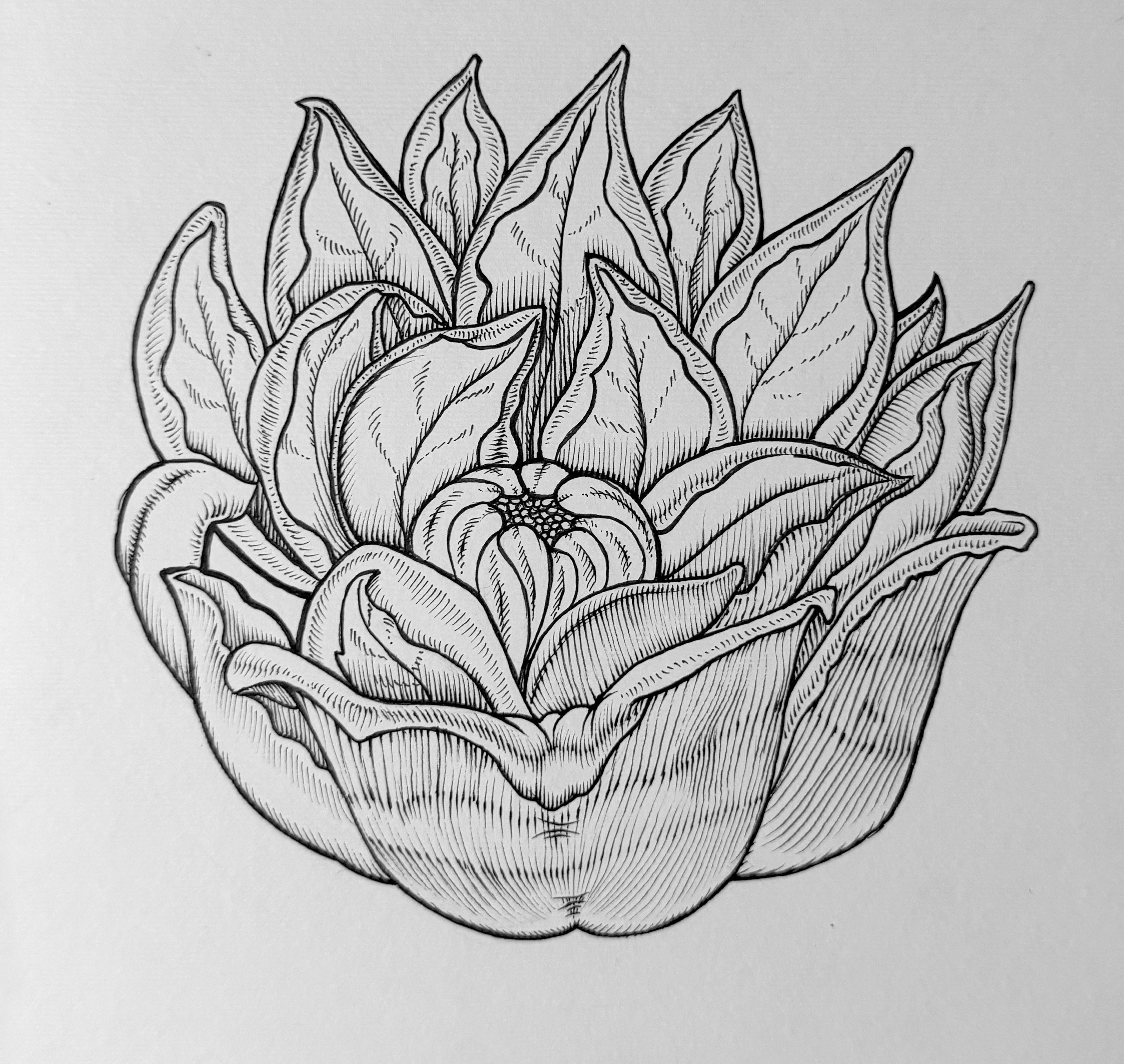 Original "Ferella" Artwork