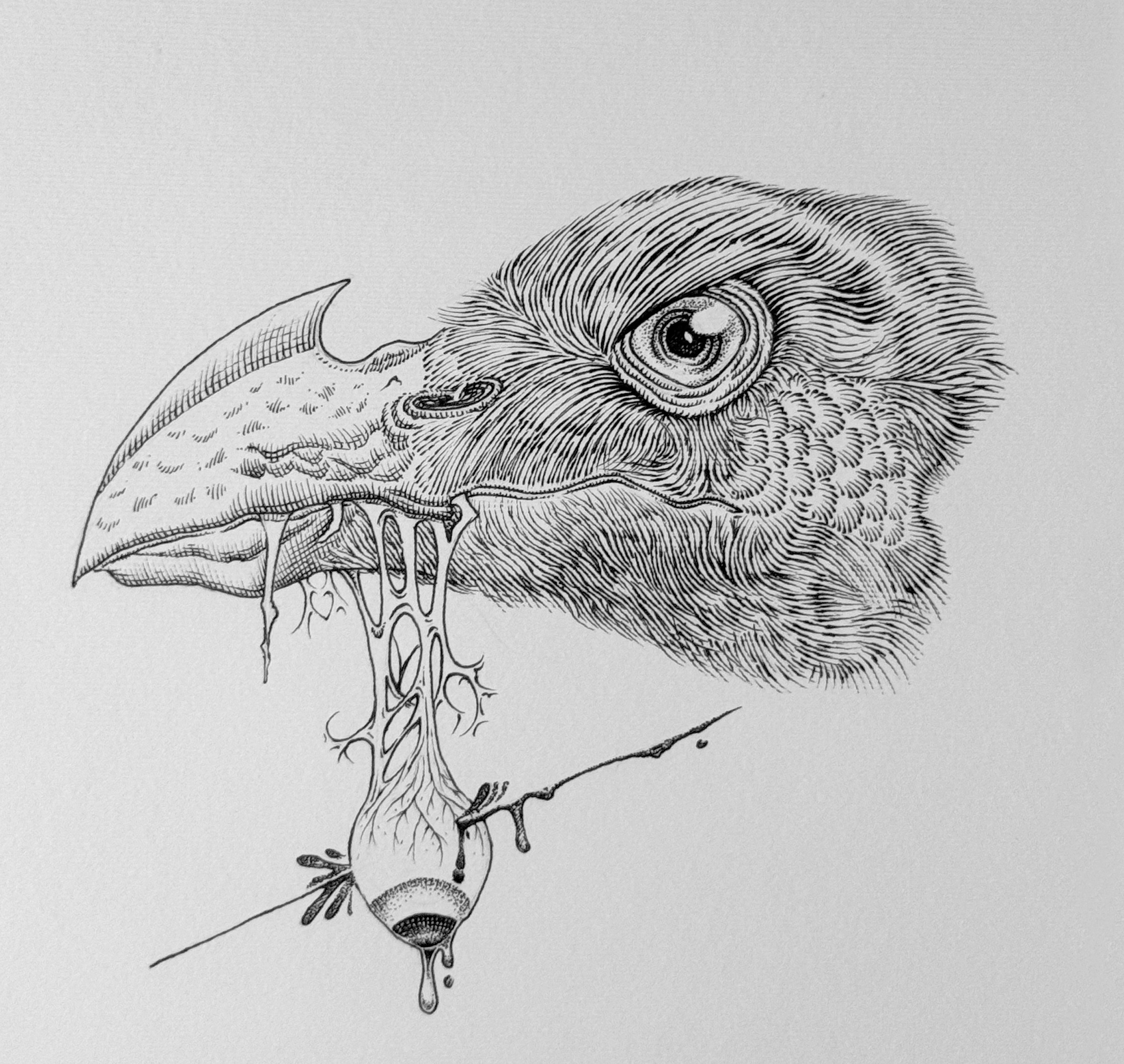 Original "Raven Hunter" Artwork