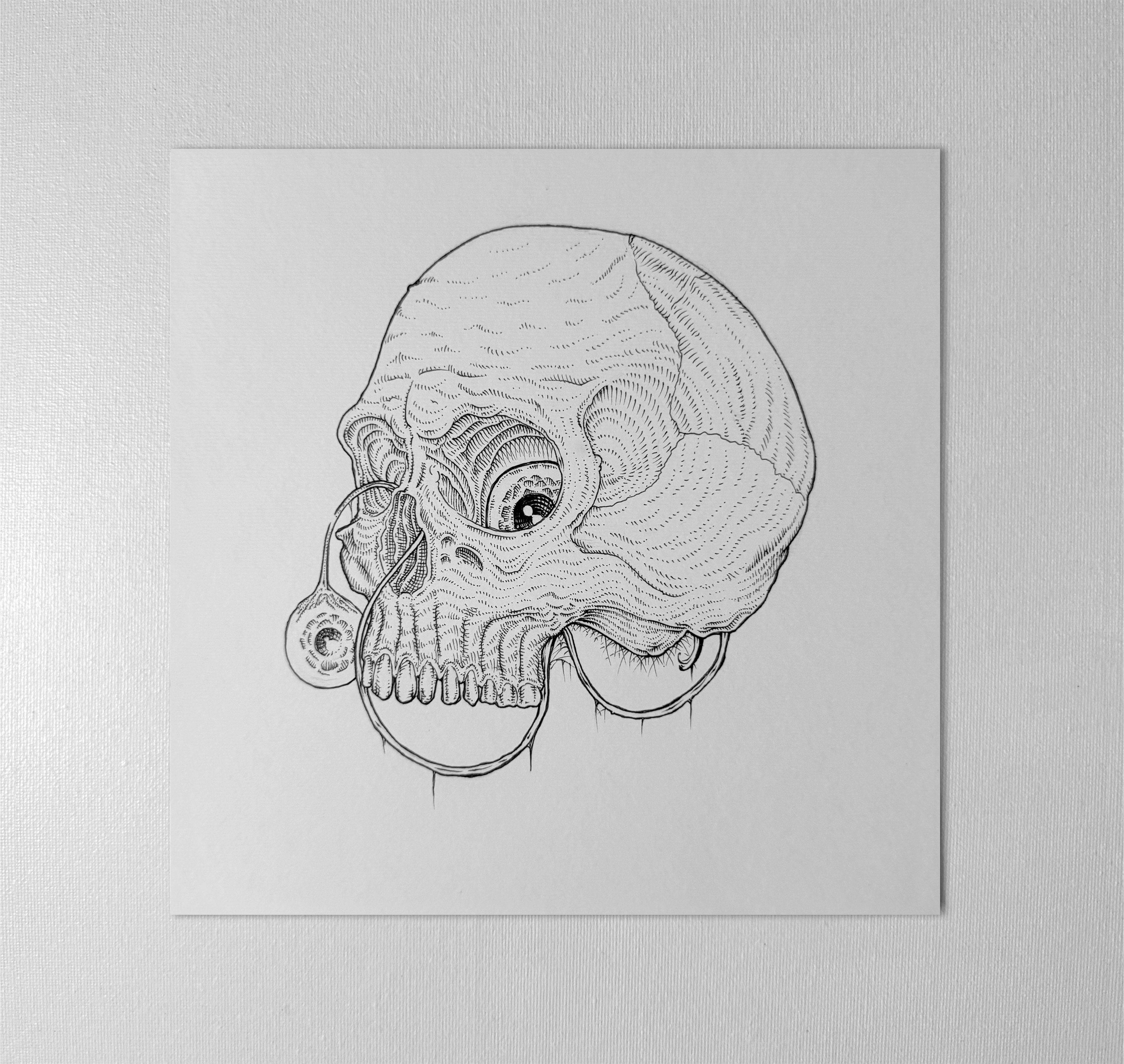 Original "Skull" Artwork