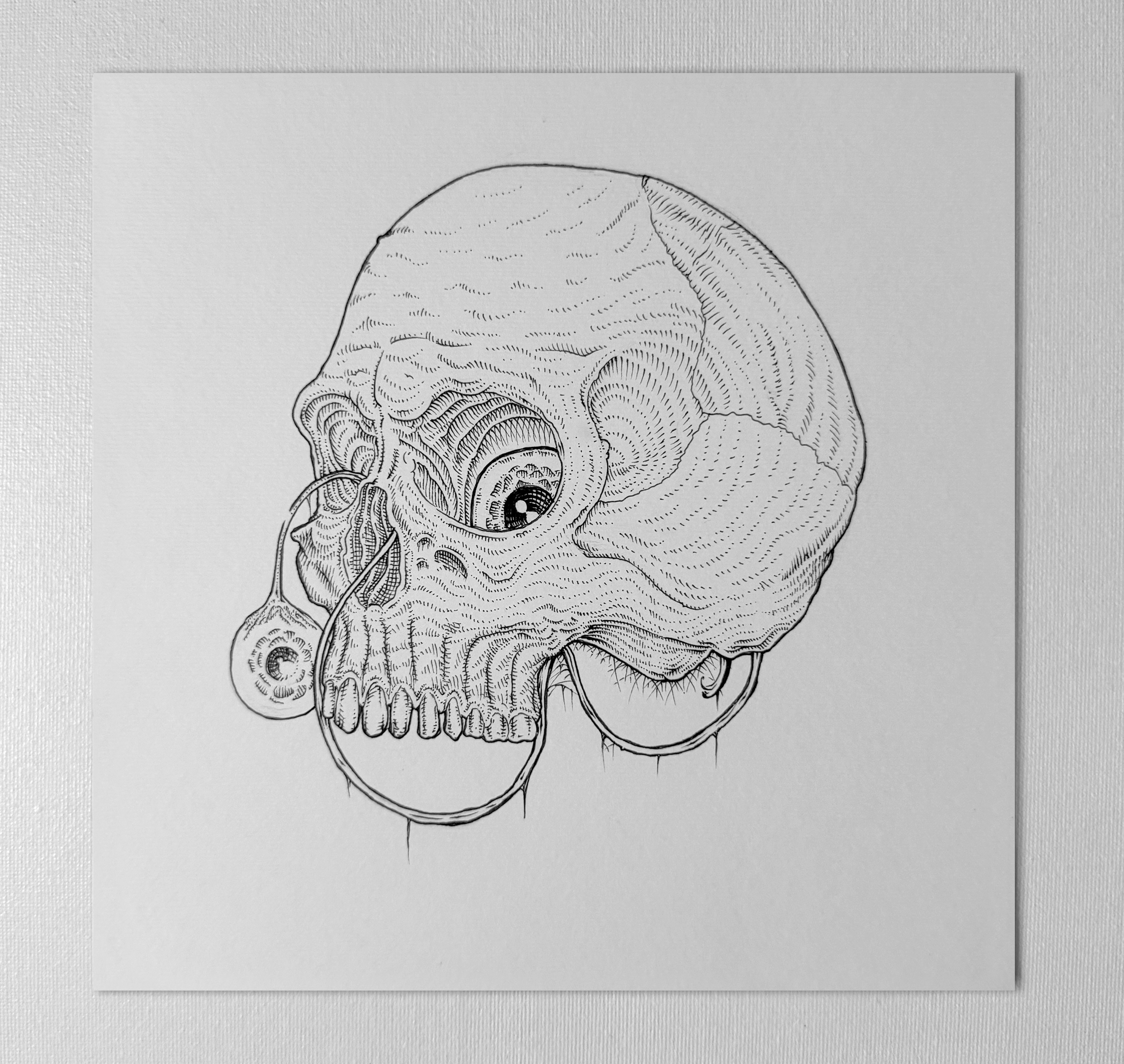 Original "Skull" Artwork