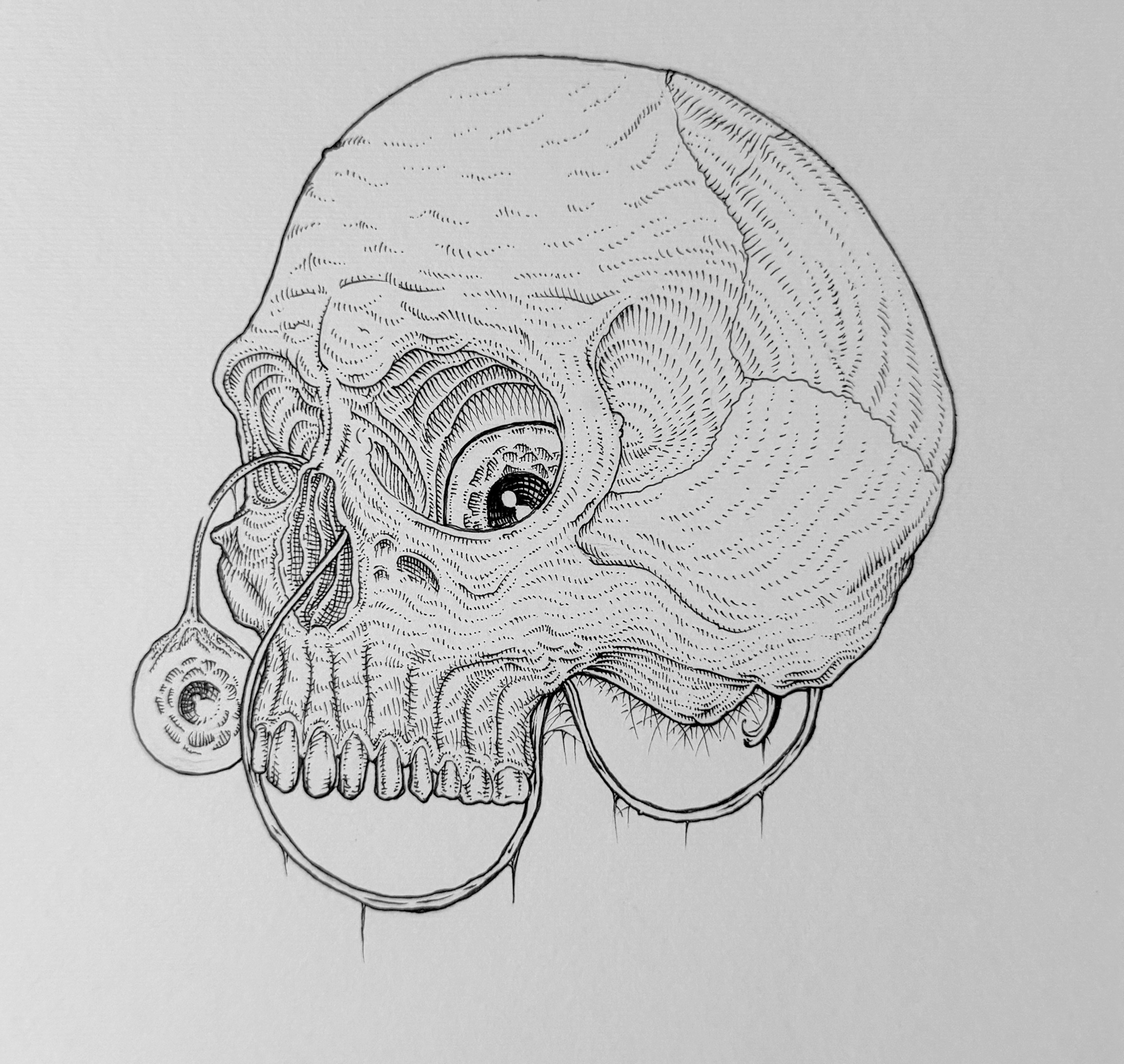 Original "Skull" Artwork