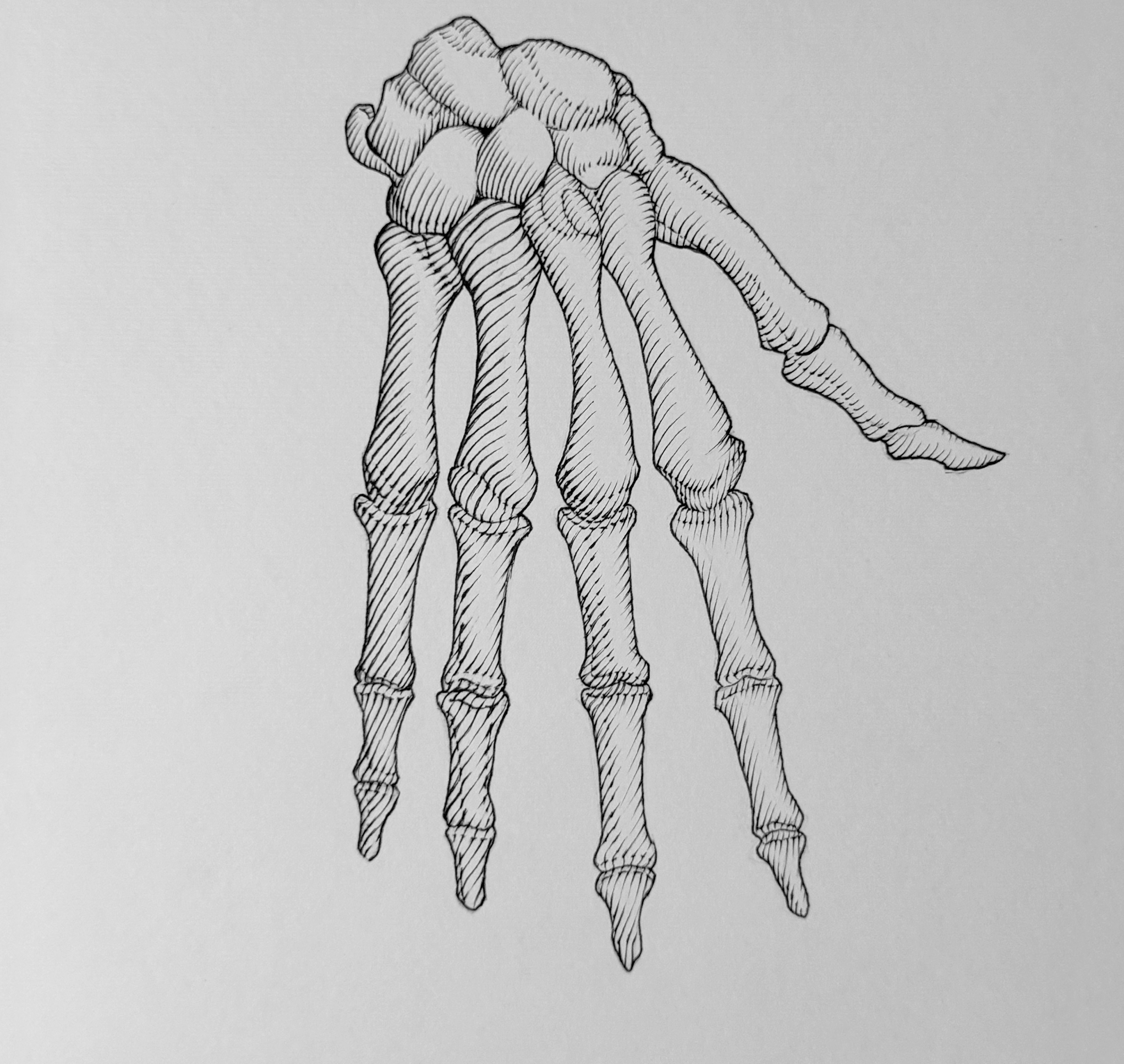 Original "Skull Hand" Artwork